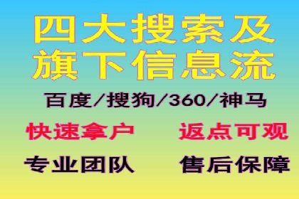 SEM托管服务案例：优化策略与效果展示